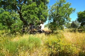 Terreno R�stico - N�o Definido, N�o Definido, N�o Definido - Miniatura: 7/13