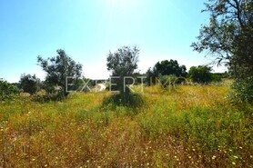 Terreno R�stico - N�o Definido, N�o Definido, N�o Definido - Miniatura: 8/13