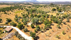 Terreno R�stico - N�o Definido, N�o Definido, N�o Definido - Miniatura: 12/13