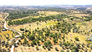 Terreno R�stico - N�o Definido, N�o Definido, N�o Definido - Miniatura: 13/13