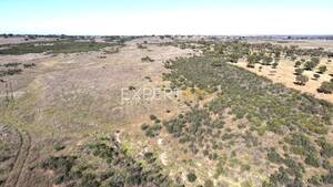 Terreno R�stico - Santa Cruz, Almod�var, Beja - Miniatura: 1/13
