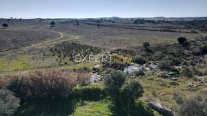 Terreno R�stico - Santa Cruz, Almod�var, Beja - Miniatura: 2/13