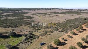 Terreno R�stico - Santa Cruz, Almod�var, Beja - Miniatura: 3/13