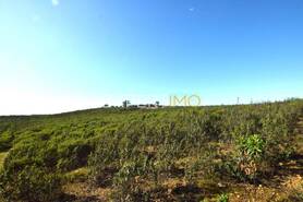 Terreno R�stico - Santa Cruz, Almod�var, Beja - Miniatura: 9/13