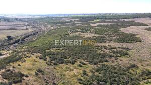 Terreno R�stico - Santa Cruz, Almod�var, Beja - Miniatura: 13/13