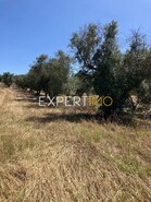 Terreno R�stico - Vila Nova de S�o Bento, Serpa, Beja - Miniatura: 2/29