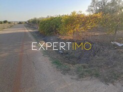 Terreno R�stico - Vila Nova de S�o Bento, Serpa, Beja - Miniatura: 3/29
