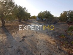 Terreno R�stico - Vila Nova de S�o Bento, Serpa, Beja - Miniatura: 5/29