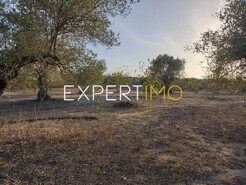 Terreno R�stico - Vila Nova de S�o Bento, Serpa, Beja - Miniatura: 6/29