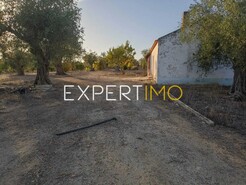 Terreno R�stico - Vila Nova de S�o Bento, Serpa, Beja - Miniatura: 7/29