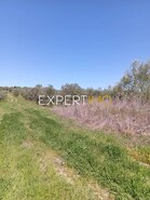 Terreno R�stico - Vila Nova de S�o Bento, Serpa, Beja - Miniatura: 27/29