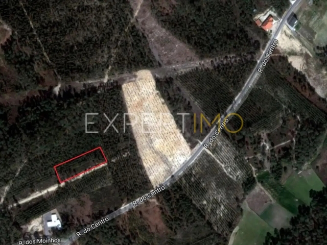 Terreno R�stico - Matas, Our�m, Santar�m - Imagem grande
