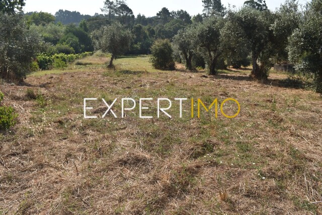 Terreno R�stico - Aguda, Figueir� dos Vinhos, Leiria - Imagem grande