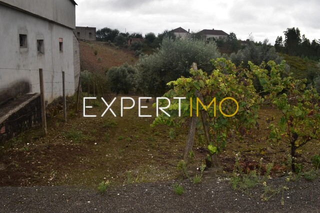 Terreno R�stico - Gra�a, Pedr�g�o Grande, Leiria - Imagem grande