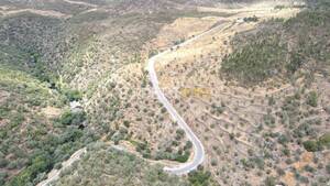 Terreno R�stico - Santana, Nisa, Portalegre