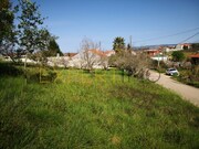 Terreno Rstico - vora de Alcobaa, Alcobaa, Leiria - Miniatura: 4/5