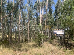 Terreno R�stico - N�o Definido, N�o Definido, N�o Definido - Miniatura: 3/3