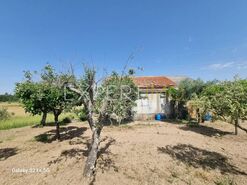 Outros T3 - S�o Paio, Gouveia, Guarda - Miniatura: 3/29