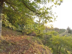 Terreno R�stico - N�o Definido, N�o Definido, N�o Definido - Miniatura: 8/20