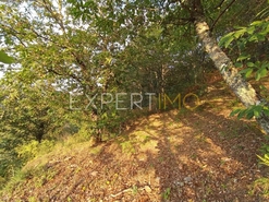 Terreno R�stico - N�o Definido, N�o Definido, N�o Definido - Miniatura: 19/20