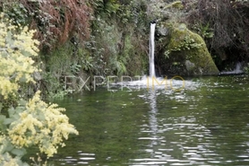 Hotel/Residencial - Abrunhosa-a-Velha, Mangualde, Viseu - Miniatura: 17/24