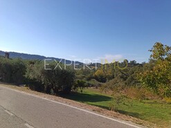 Terreno R�stico - Vila C�, Pombal, Leiria - Miniatura: 6/12