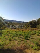 Terreno R�stico - Vila C�, Pombal, Leiria - Miniatura: 8/12