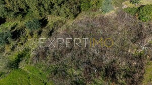 Terreno R�stico - Vila C�, Pombal, Leiria - Miniatura: 9/12