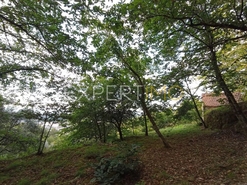 Terreno R�stico - N�o Definido, N�o Definido, N�o Definido - Miniatura: 1/20