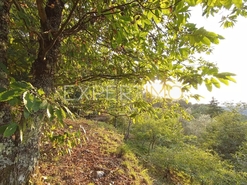 Terreno R�stico - N�o Definido, N�o Definido, N�o Definido - Miniatura: 5/20