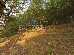 Terreno R�stico - N�o Definido, N�o Definido, N�o Definido - Miniatura: 9/20