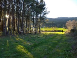 Terreno R�stico - Valhelhas, Guarda, Guarda - Miniatura: 4/29