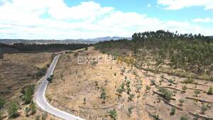 Terreno R�stico - Santana, Nisa, Portalegre - Miniatura: 10/15
