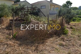 Terreno R�stico - Aguda, Figueir� dos Vinhos, Leiria - Miniatura: 1/19