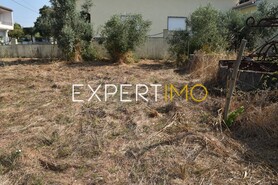 Terreno R�stico - Aguda, Figueir� dos Vinhos, Leiria - Miniatura: 2/19