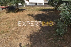 Terreno R�stico - Aguda, Figueir� dos Vinhos, Leiria - Miniatura: 3/19