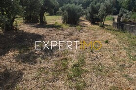 Terreno R�stico - Aguda, Figueir� dos Vinhos, Leiria - Miniatura: 4/19