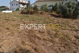 Terreno R�stico - Aguda, Figueir� dos Vinhos, Leiria - Miniatura: 5/19