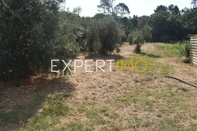 Terreno R�stico - Aguda, Figueir� dos Vinhos, Leiria - Miniatura: 6/19
