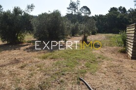 Terreno R�stico - Aguda, Figueir� dos Vinhos, Leiria - Miniatura: 7/19