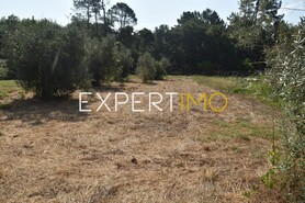 Terreno R�stico - Aguda, Figueir� dos Vinhos, Leiria - Miniatura: 10/19