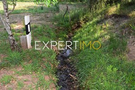 Terreno R�stico - Aguda, Figueir� dos Vinhos, Leiria - Miniatura: 11/19