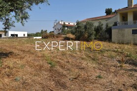 Terreno R�stico - Aguda, Figueir� dos Vinhos, Leiria - Miniatura: 13/19