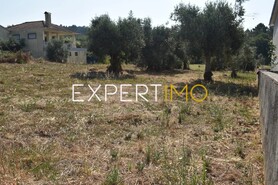 Terreno R�stico - Aguda, Figueir� dos Vinhos, Leiria - Miniatura: 19/19