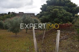 Terreno R�stico - Gra�a, Pedr�g�o Grande, Leiria - Miniatura: 1/7