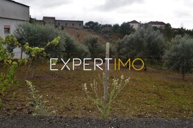 Terreno R�stico - Gra�a, Pedr�g�o Grande, Leiria - Miniatura: 2/7