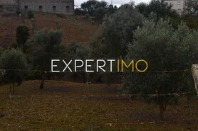 Terreno R�stico - Gra�a, Pedr�g�o Grande, Leiria - Miniatura: 3/7