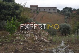 Terreno R�stico - Gra�a, Pedr�g�o Grande, Leiria - Miniatura: 4/7