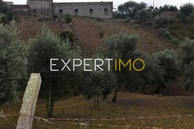 Terreno R�stico - Gra�a, Pedr�g�o Grande, Leiria - Miniatura: 5/7