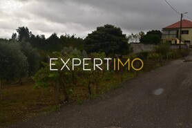 Terreno R�stico - Gra�a, Pedr�g�o Grande, Leiria - Miniatura: 6/7
